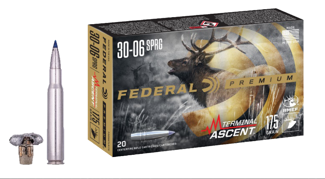 Federal Premium, Fed P3006ta1       3006    175 Term Ascent  20/10