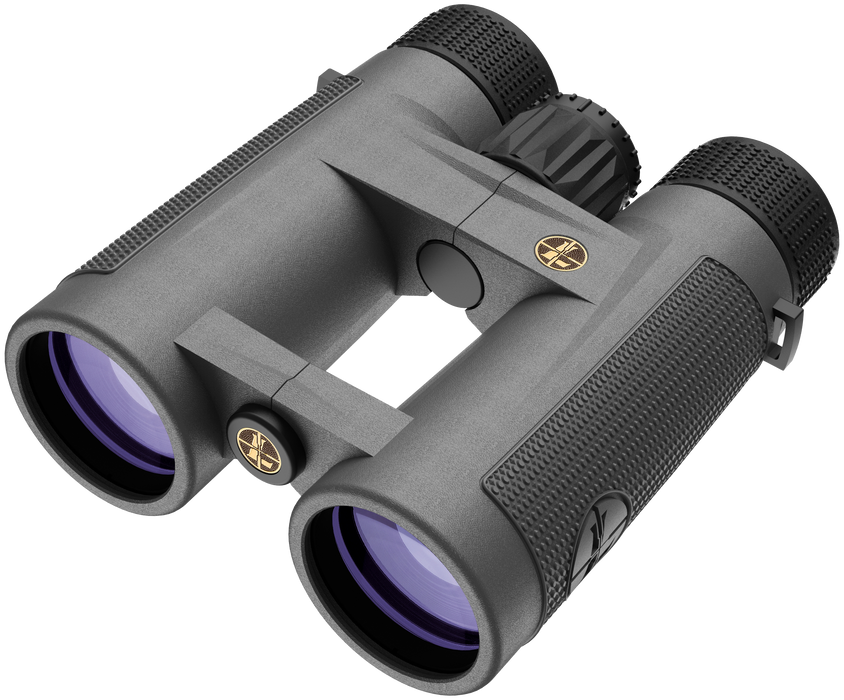 Leupold Bx-4, Leu 172666 Bino 10x42 Bx-4 Pro Guide Hd Gray