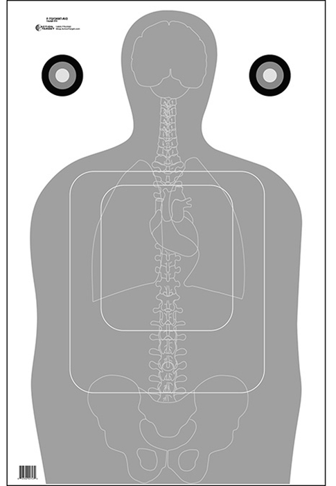 Action Target Inc Tq-15, Action Ftq15antav2100 Tq-15 Trgt/anatomy    100 Bx