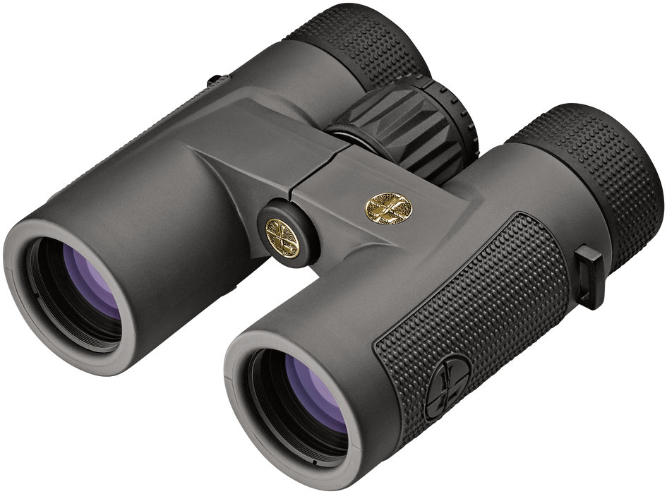 Leupold Bx-4, Leu 172660 Bino 10x32 Bx-4 Pro Guide Hd Gray