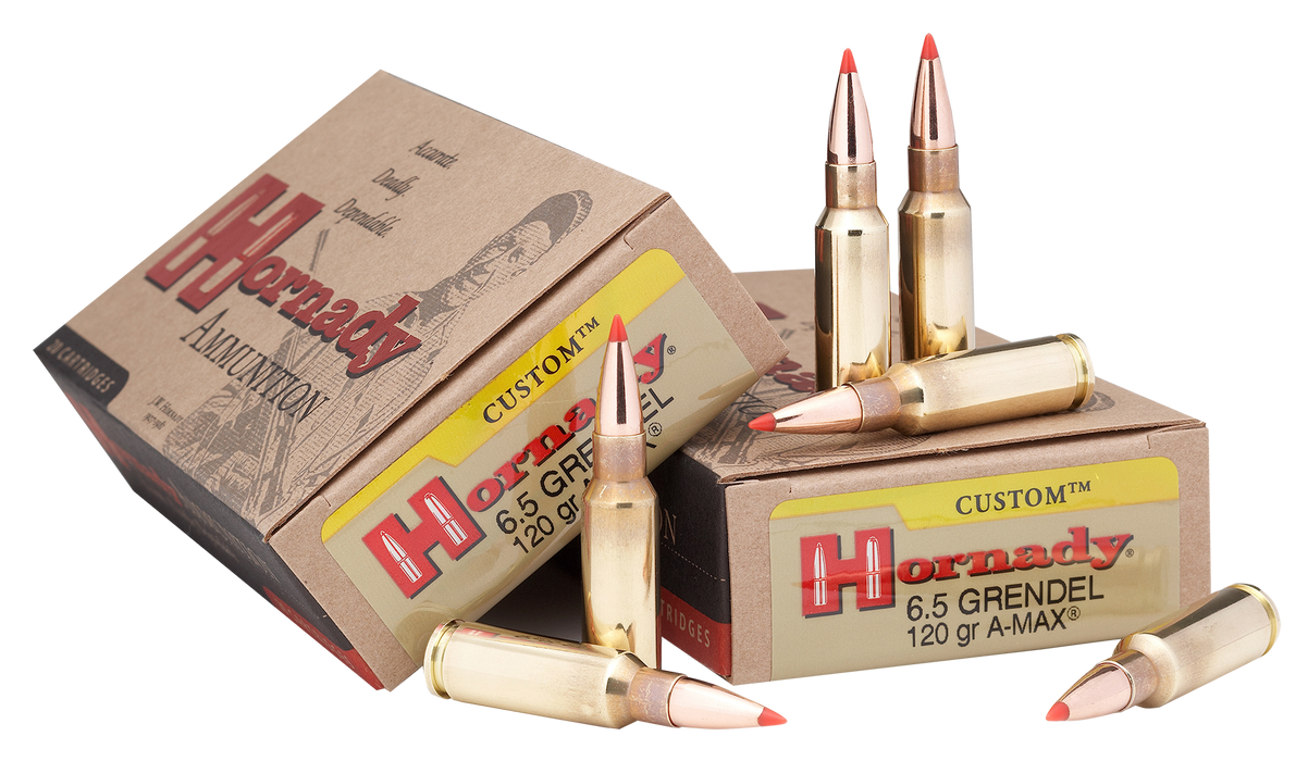 Hornady Custom, Horn 8152   6.5grn  123 Sst                  20/10