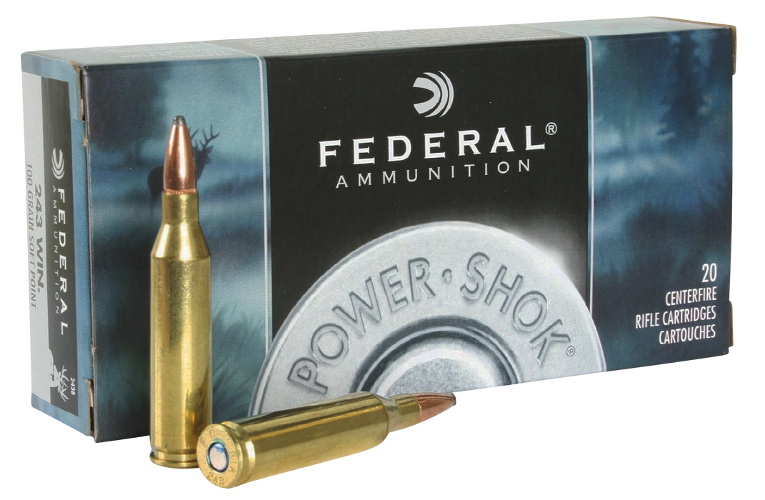 Federal Power-shok, Fed 243b           243     100 Sp           20/10