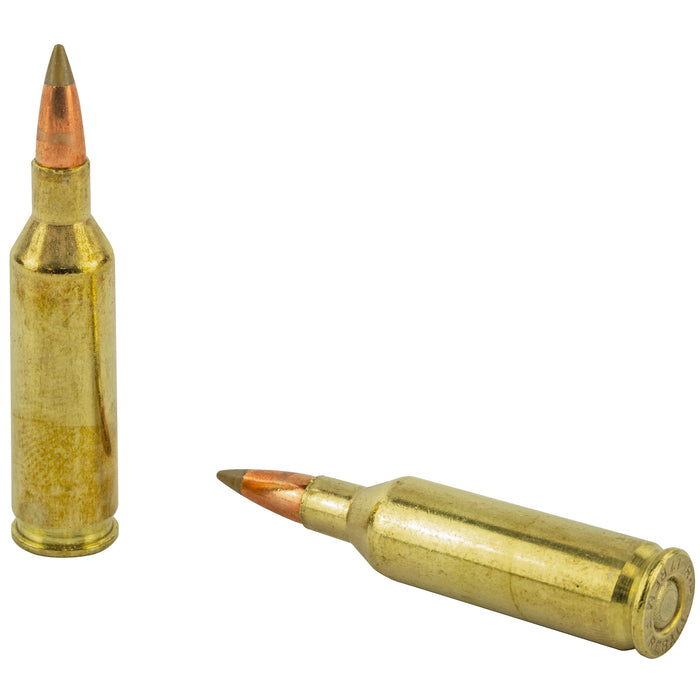 Remington Ammunition Premier, Rem 29165 Pra17fb   17rem Fb20 Accutip      20/10