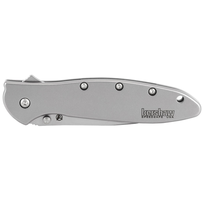 Kershaw Leek, Ker 1660cb      Leek Composite Blade