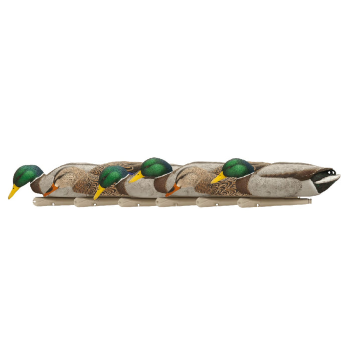 Avian-X Topflight Decoys Backwater Mallards